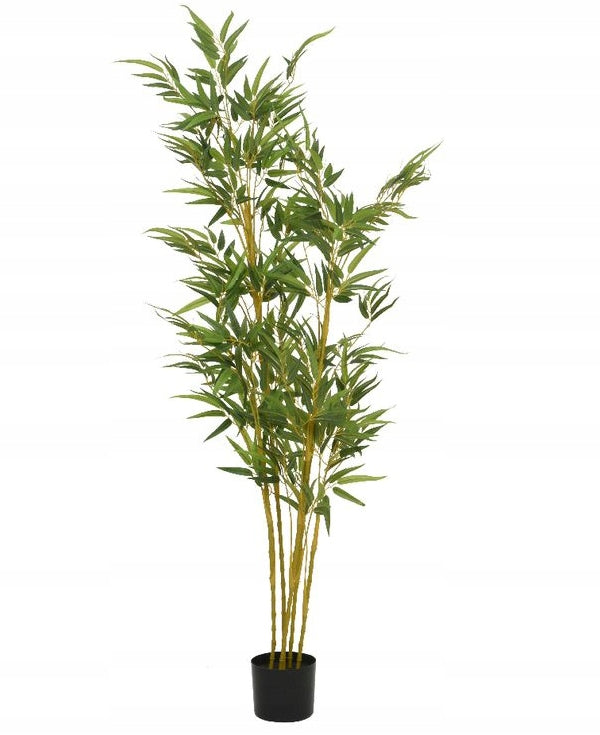 Pianta Bamboo Verde H.150cm con Vaso Kaemingk - Eleganza Naturale per Ogni Ambiente Pianta Bamboo Verde H.150cm con Vaso Kaemingk - Eleganza Naturale per Ogni Ambiente